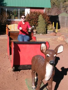 Ready to deliver toys!