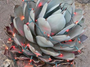 Looks like a giant artichoke!